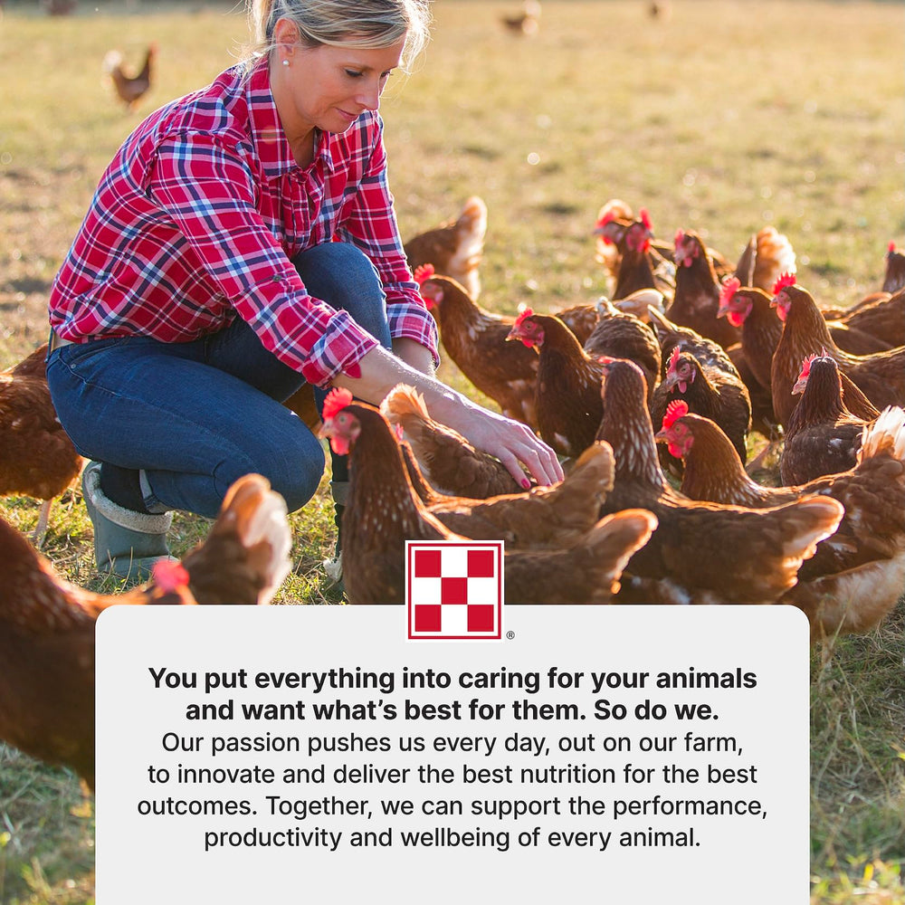 Purina Layena nutrition label highlights protein and minerals for layer hens.