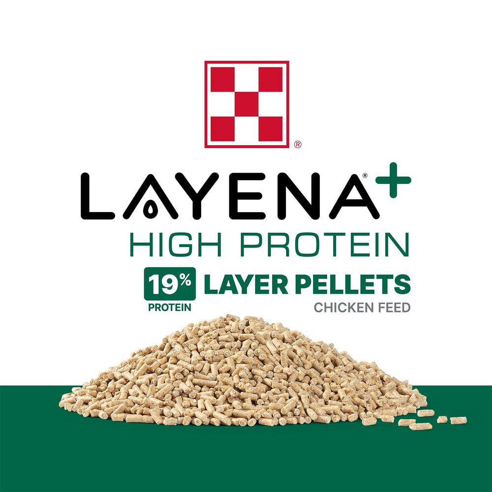 Purina Layena pellets texture detail shows compact, bite-size form for easy swallowing.