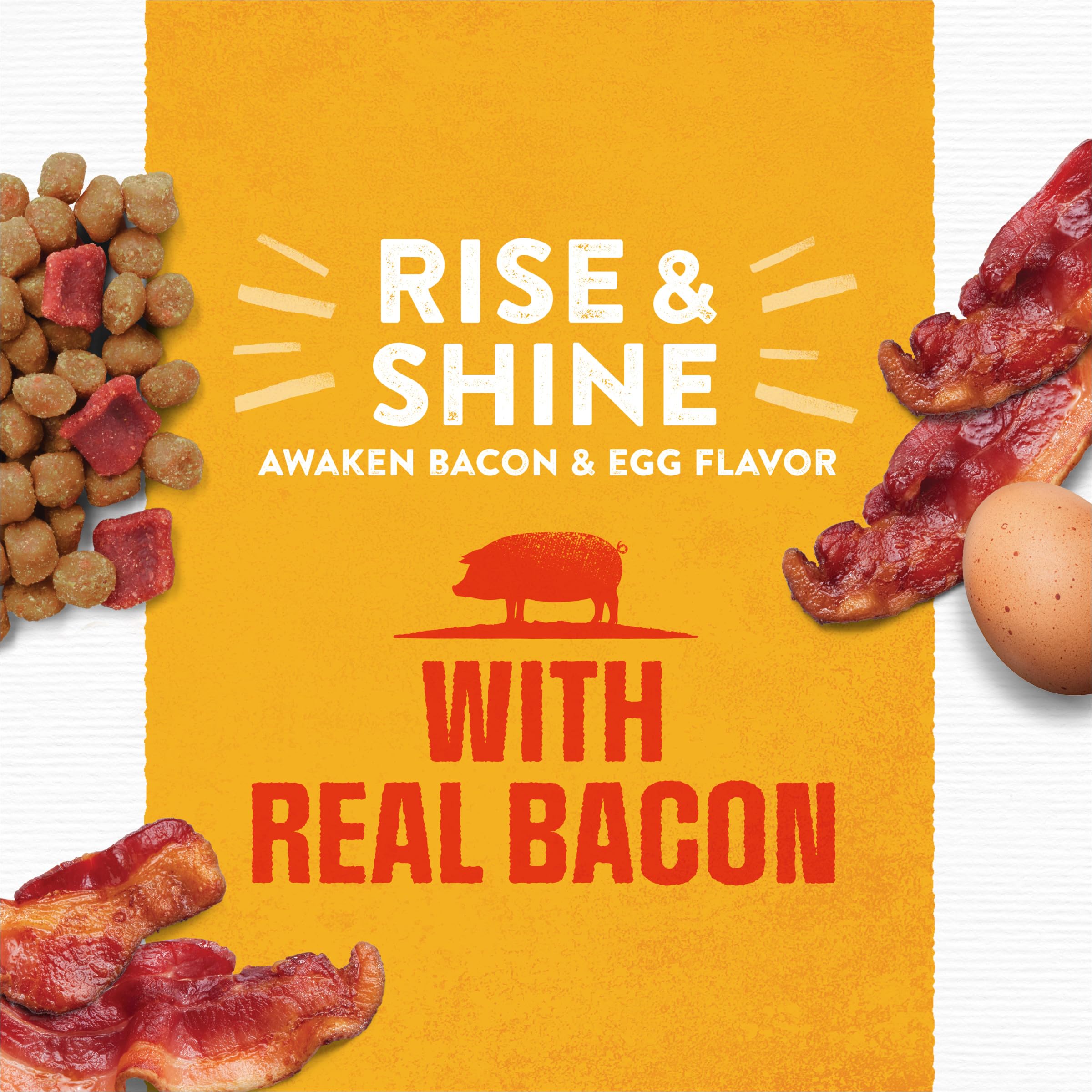 Purina Moist & Meaty Rise and Shine single-serve pouch for mess-free servings