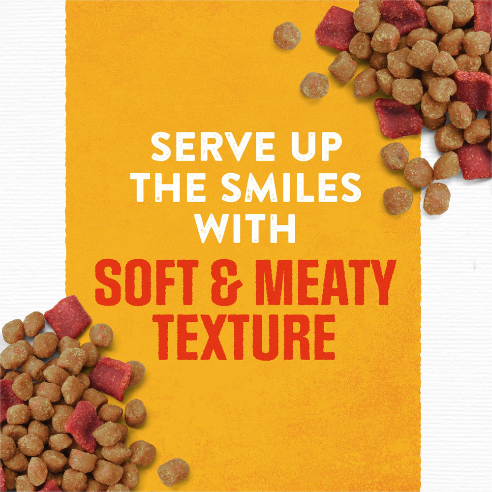Purina Rise and Shine soft tender texture pouch for everyday feeding