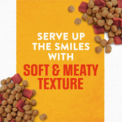 Purina Rise and Shine soft tender texture pouch for everyday feeding