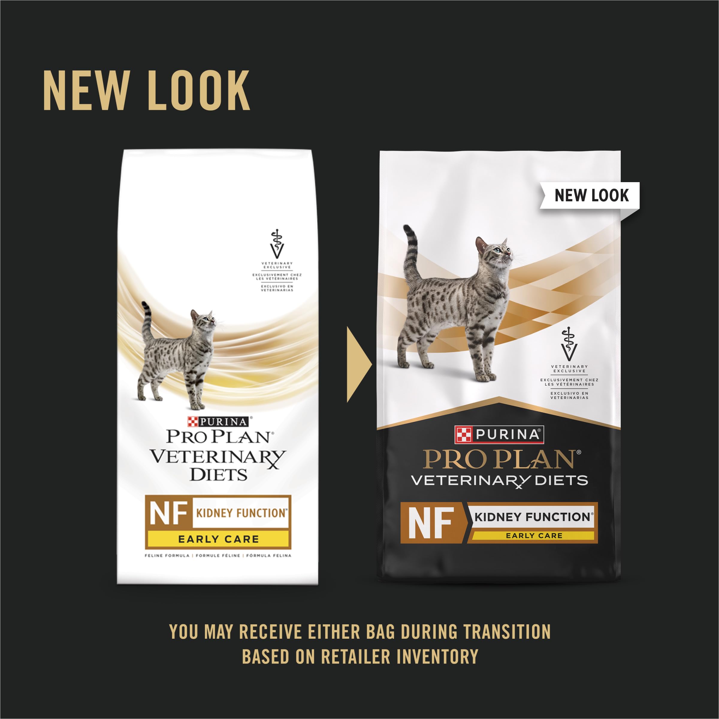 Closeup of Purina NF Kidney Function kibble highlights crunchy texture cats enjoy during meals