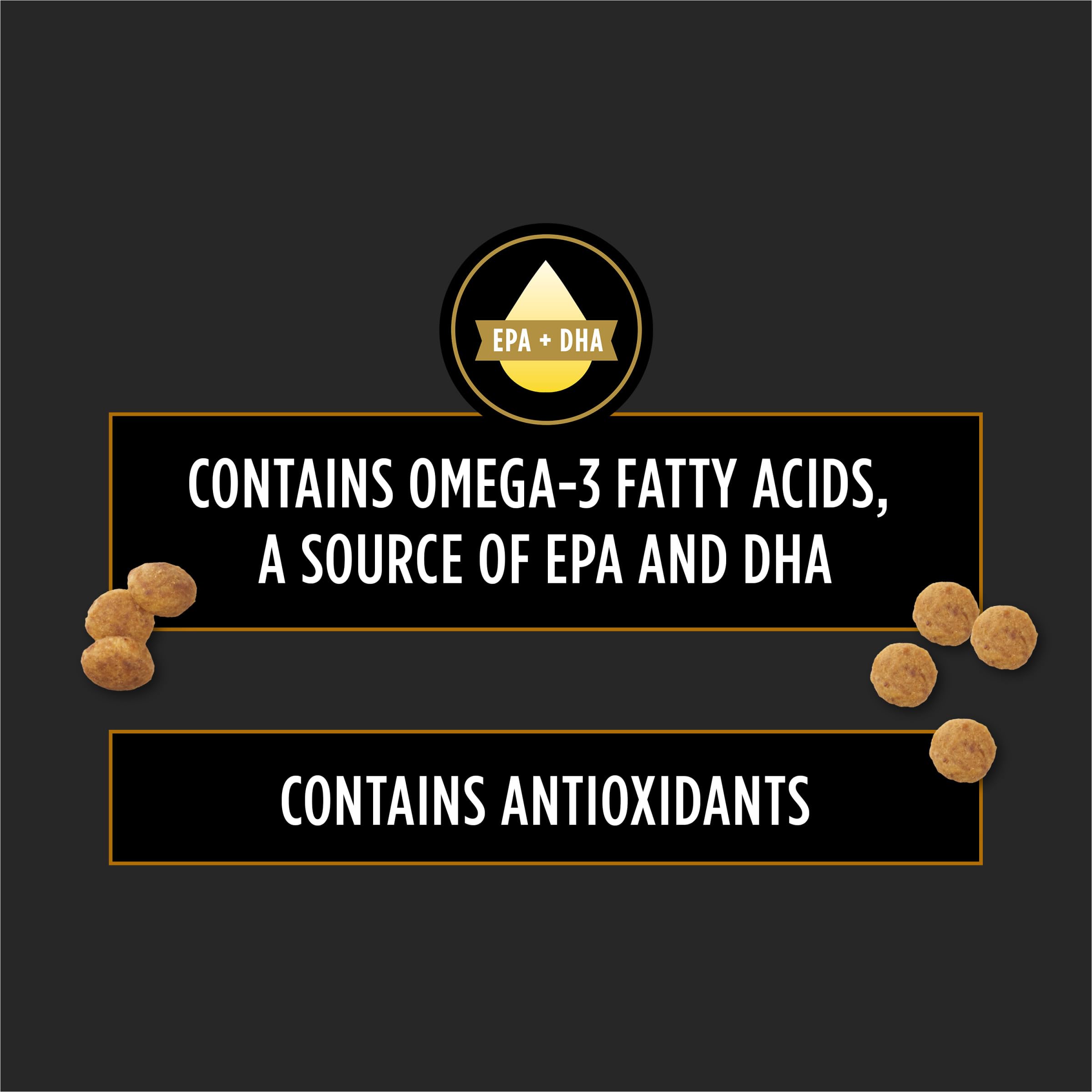 Purina NF Kidney Function kibble shown during mealtime emphasizes savory flavor