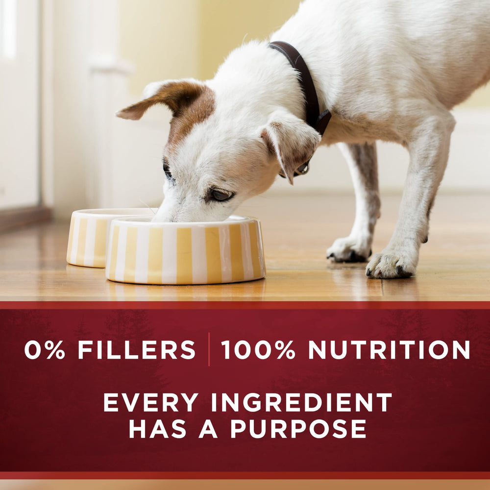 Purina ONE 12-pack of 13 oz cans packaging for steady dog meals