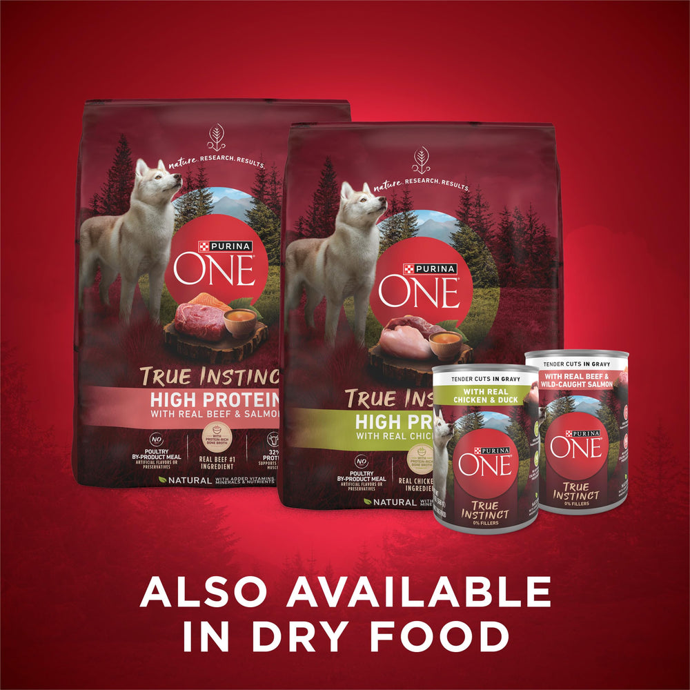 Purina ONE 13-ounce can serving size for convenient feeding.