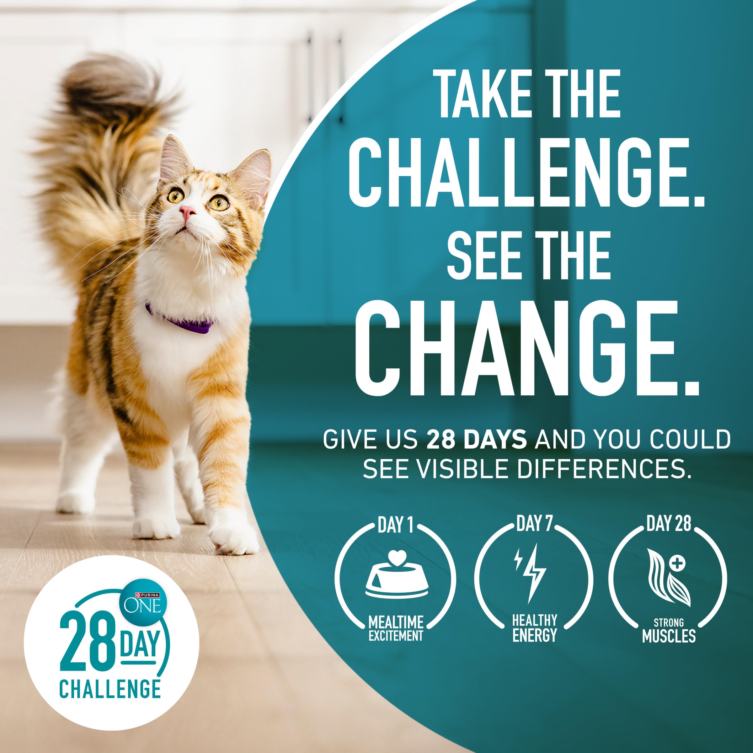 Purina ONE 28-day challenge guidance and feeding chart on the bag