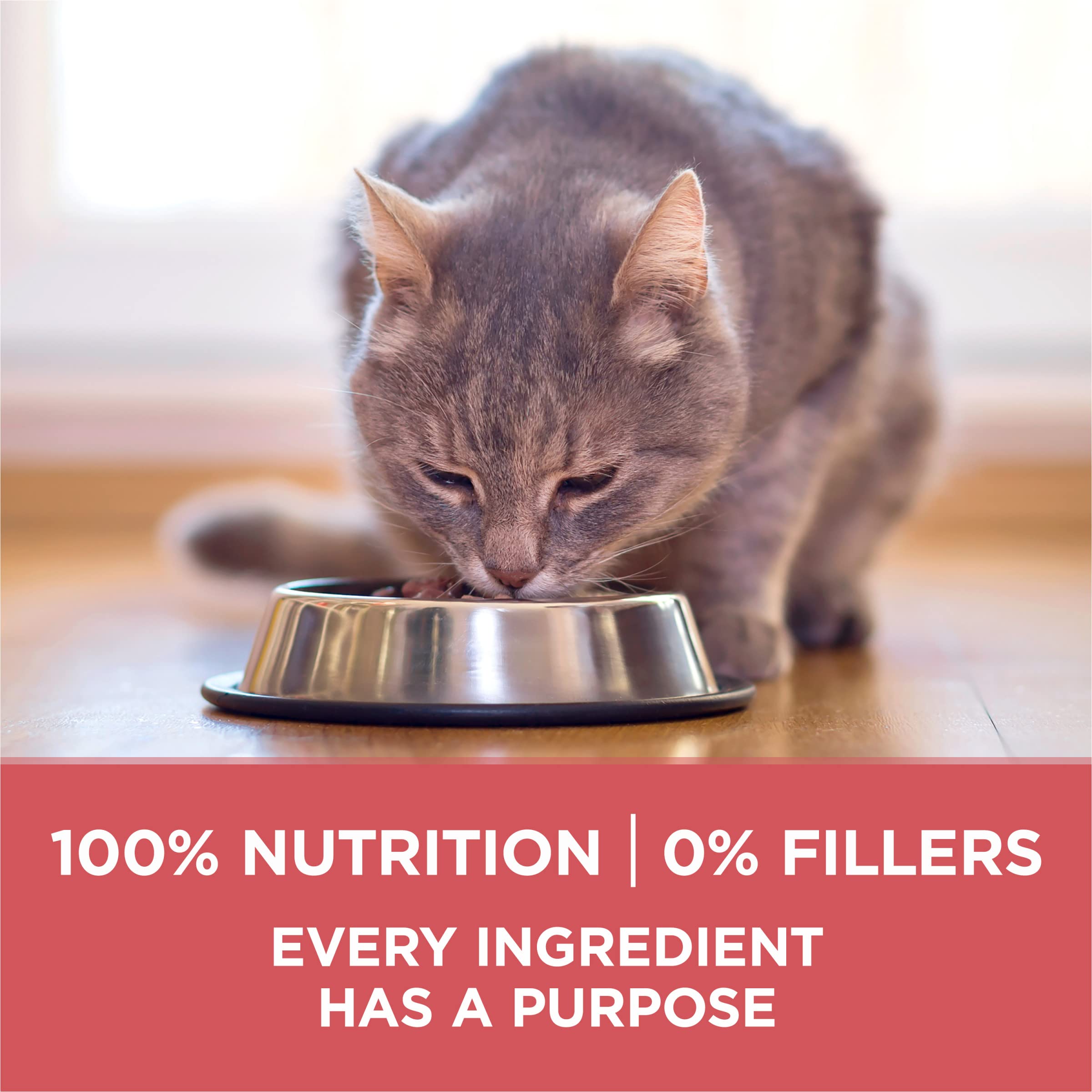 Purina ONE added vitamins, minerals and nutrients signal complete nutrition.