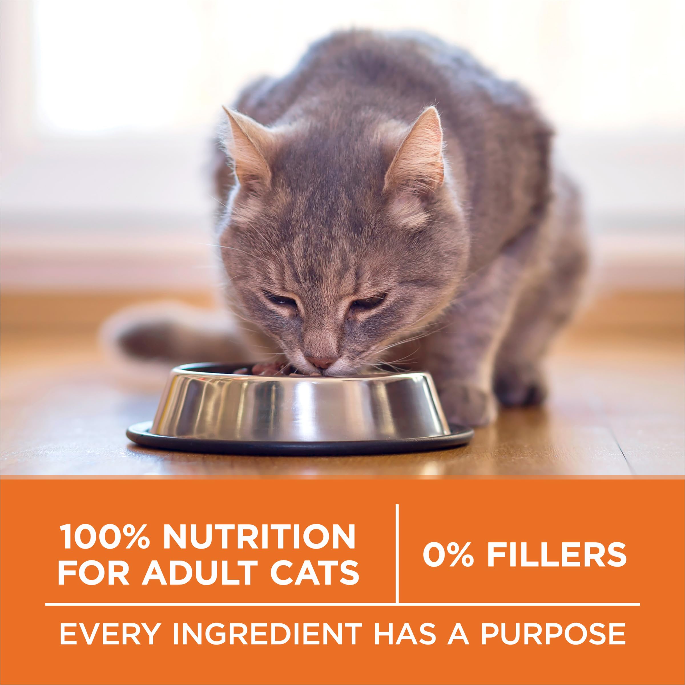 Purina ONE antioxidant sources panel hints at immune-supporting nutrients