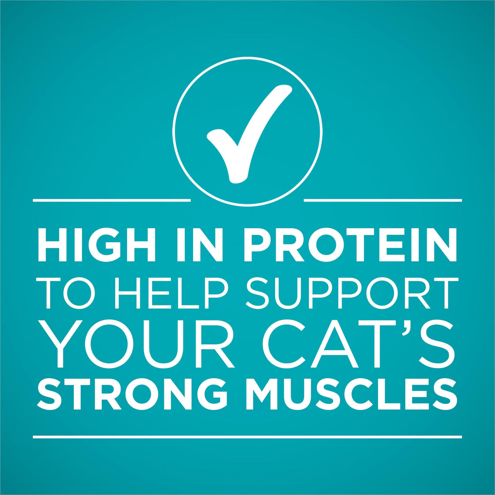 Purina ONE balanced nutrition with quality checks and vet trust.