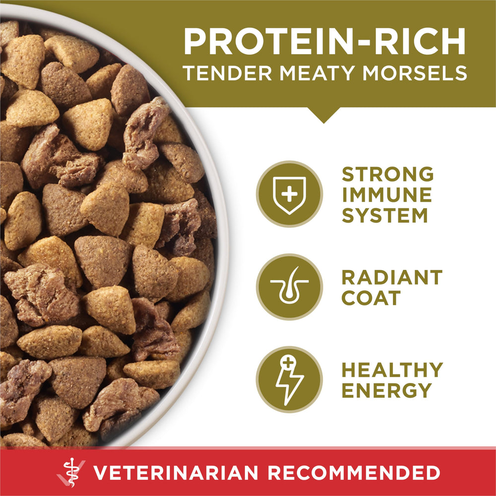 Purina ONE calcium for strong teeth crunch in kibble