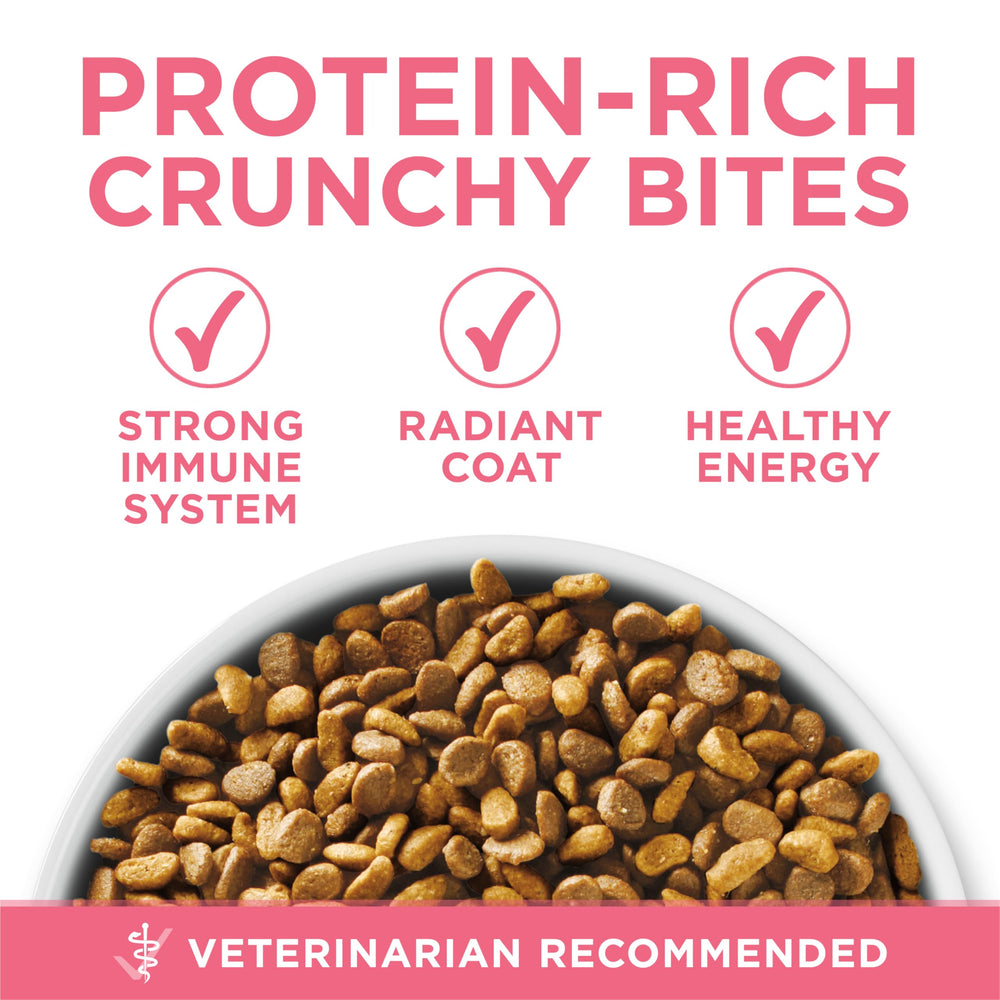 Purina ONE added calcium for strong teeth and healthy gums