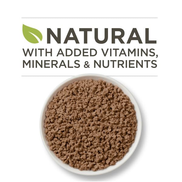 Purina ONE cat eating soft pate highlighting easy chewability
