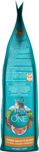 Purina ONE cat food bowl ready for Tender Selects feeding