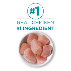 Purina ONE cat food pate chicken recipe ingredient emphasis