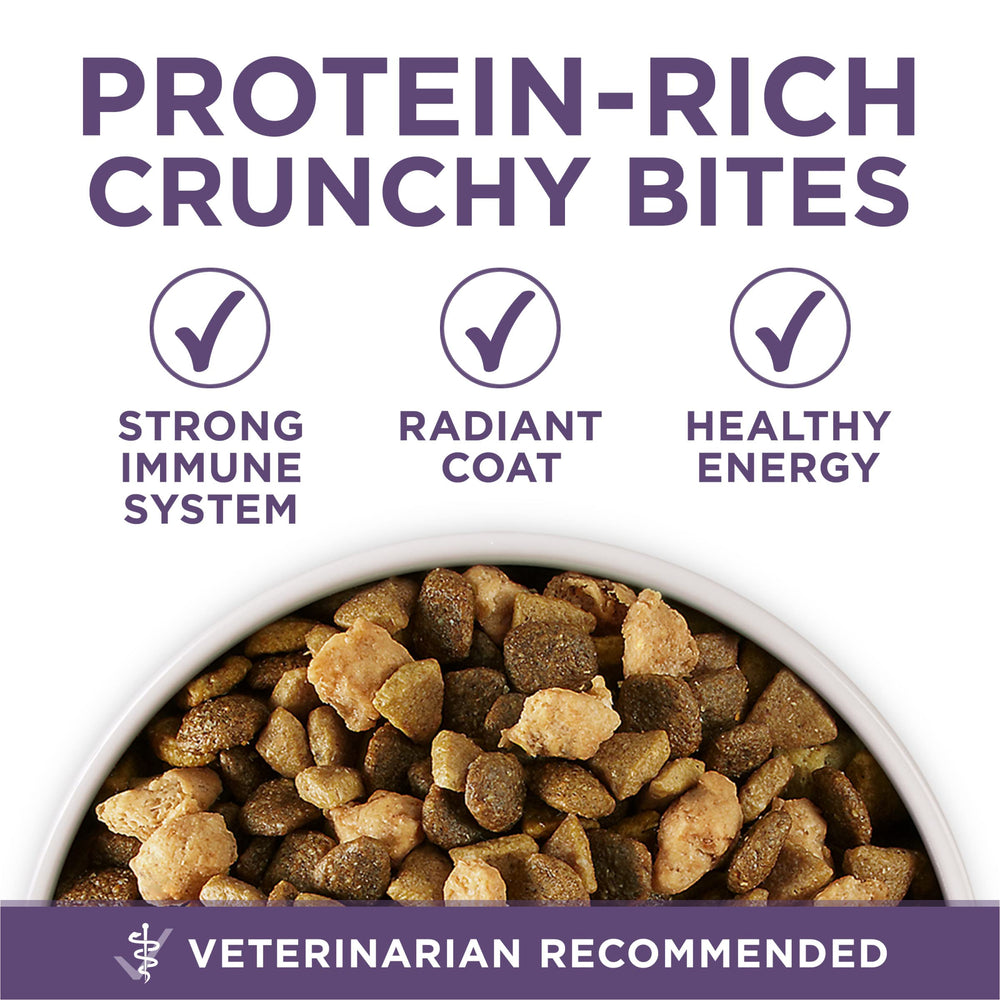 Purina ONE chicken-first ingredient dog food highlighting real chicken