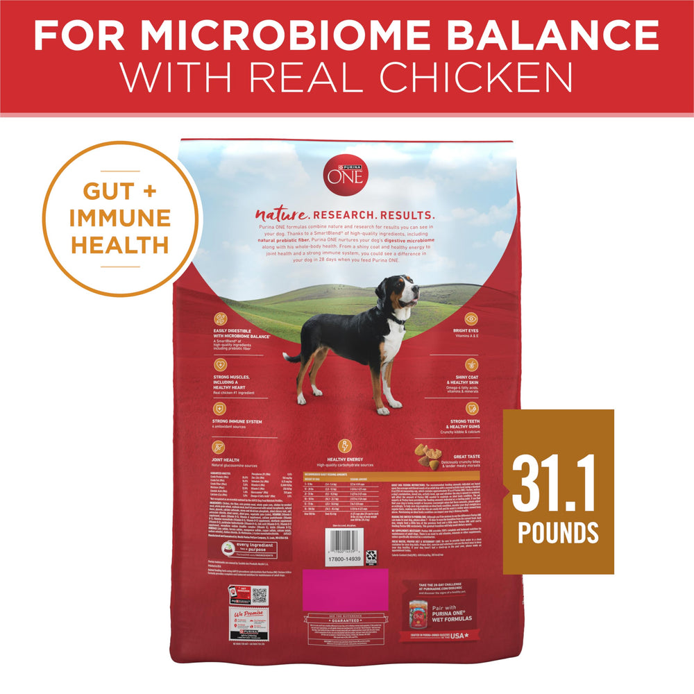 Purina ONE chicken and rice dog food bag suggests immune-supporting nutrients.