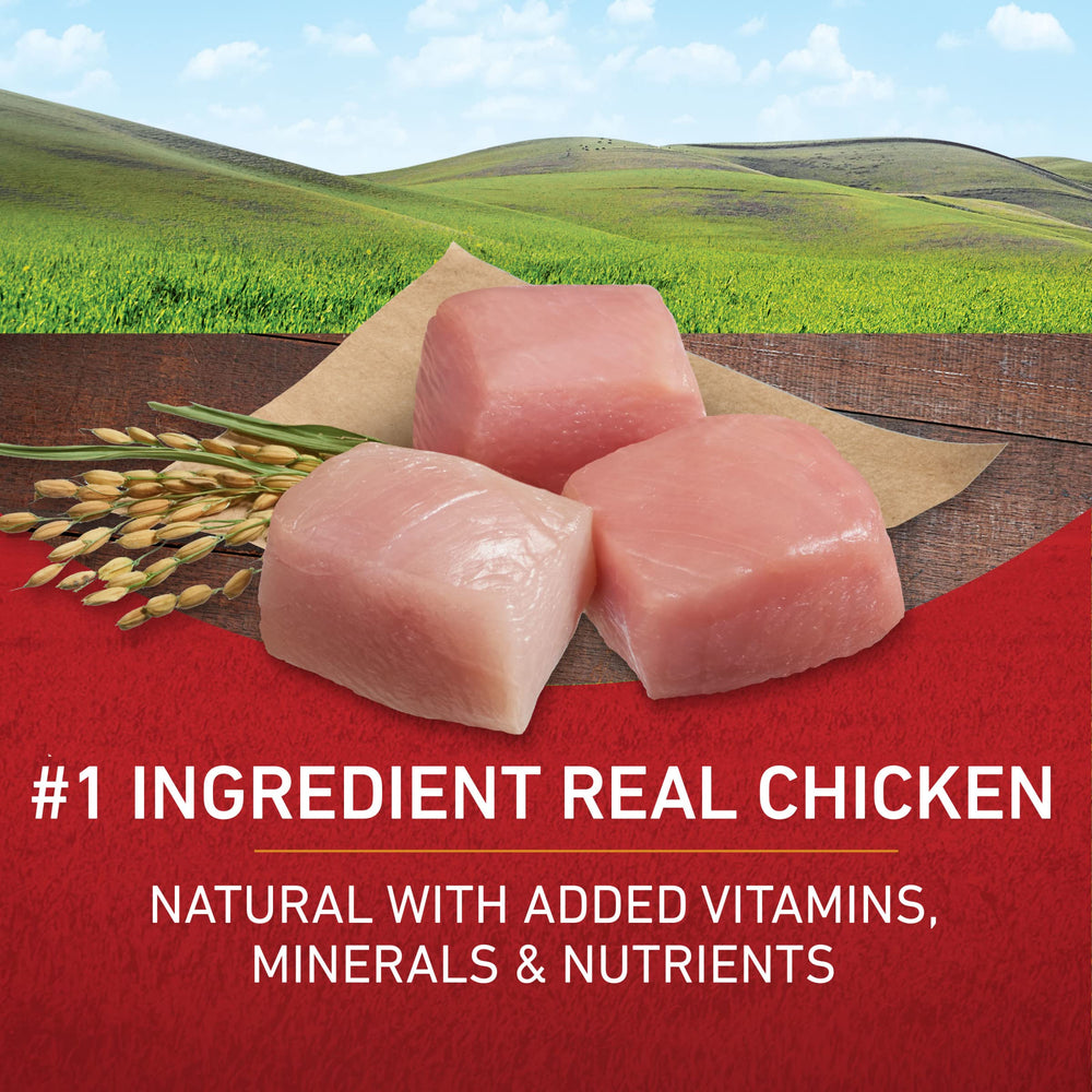 Purina ONE chicken and rice dry dog food kibble closeup highlighting high-protein formula.