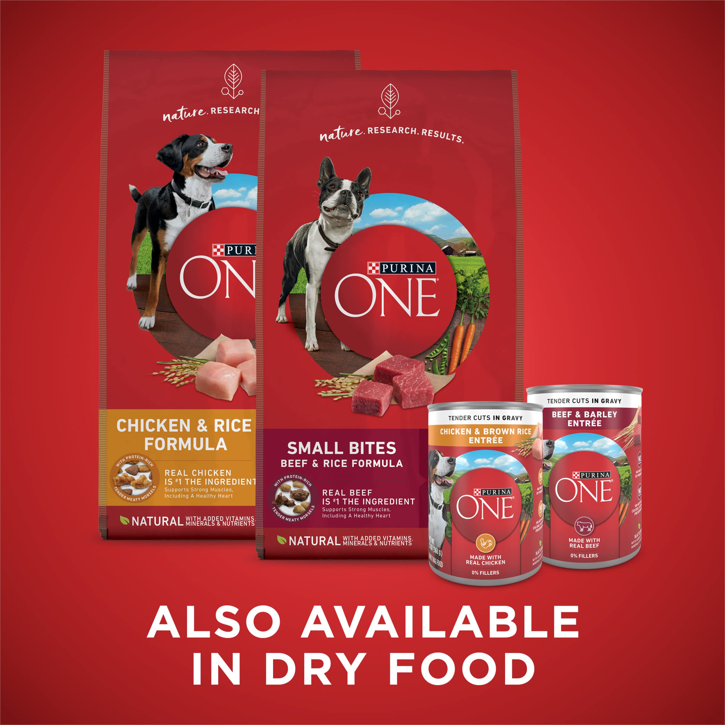 Purina ONE complete and balanced nutrition for adult dogs.