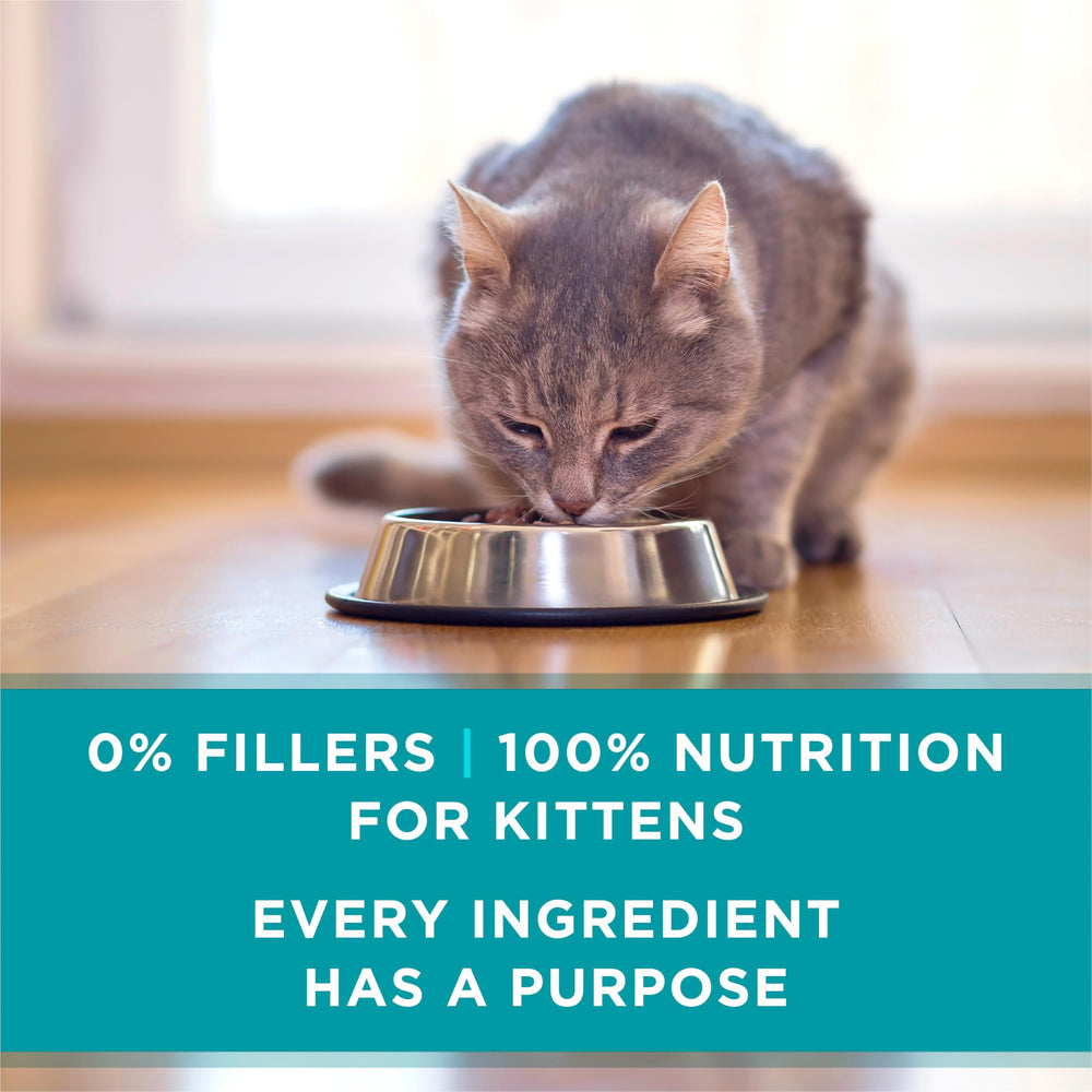 Purina ONE corn-free wheat-free soy-free potato-free recipe focuses on simplicity