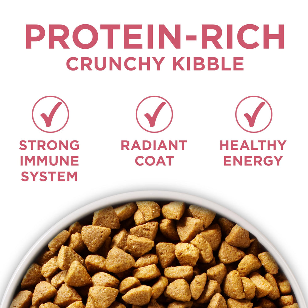 Purina ONE crunchy-kibble bites support teeth and gums.