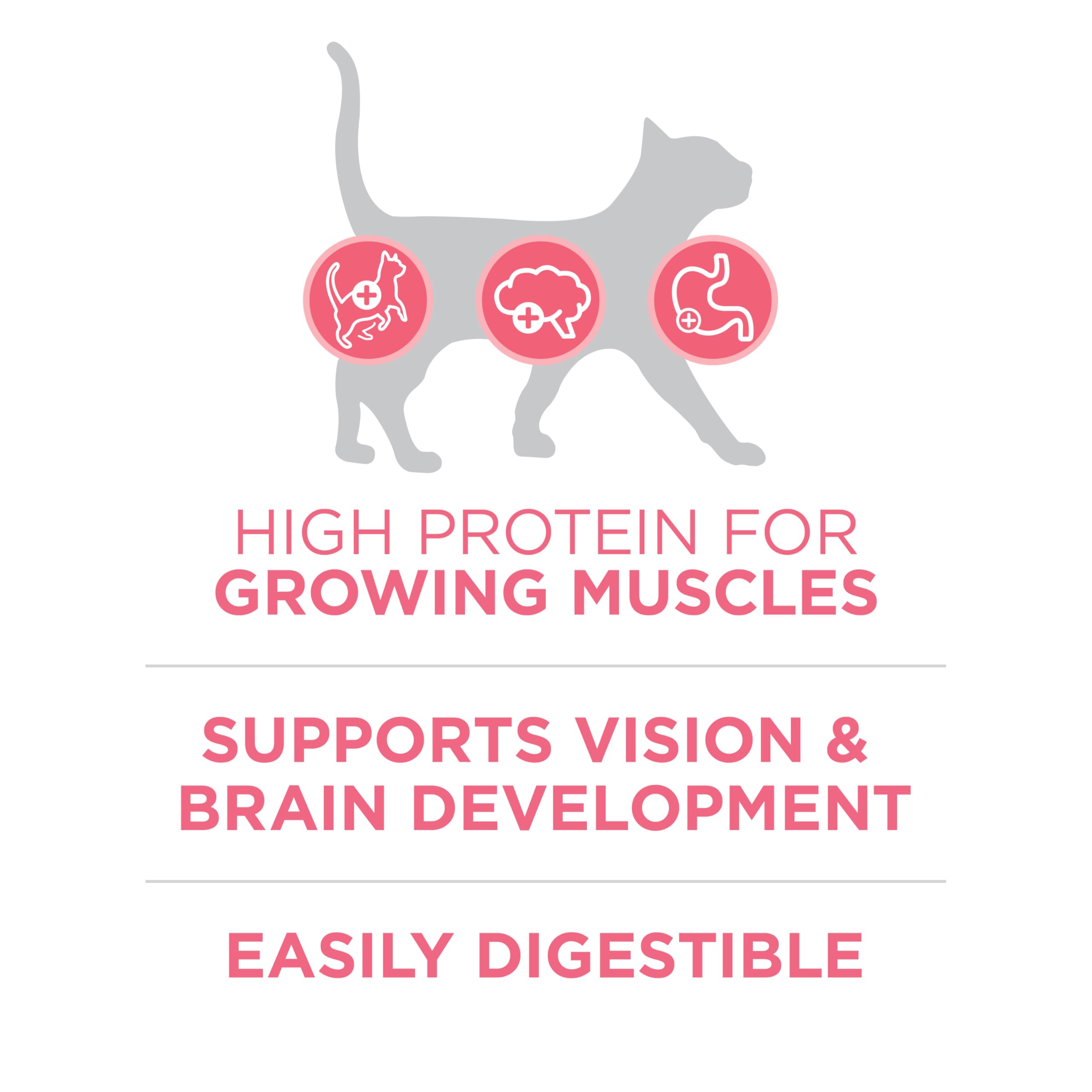 Purina ONE DHA brain development focus supports kitten learning and vision