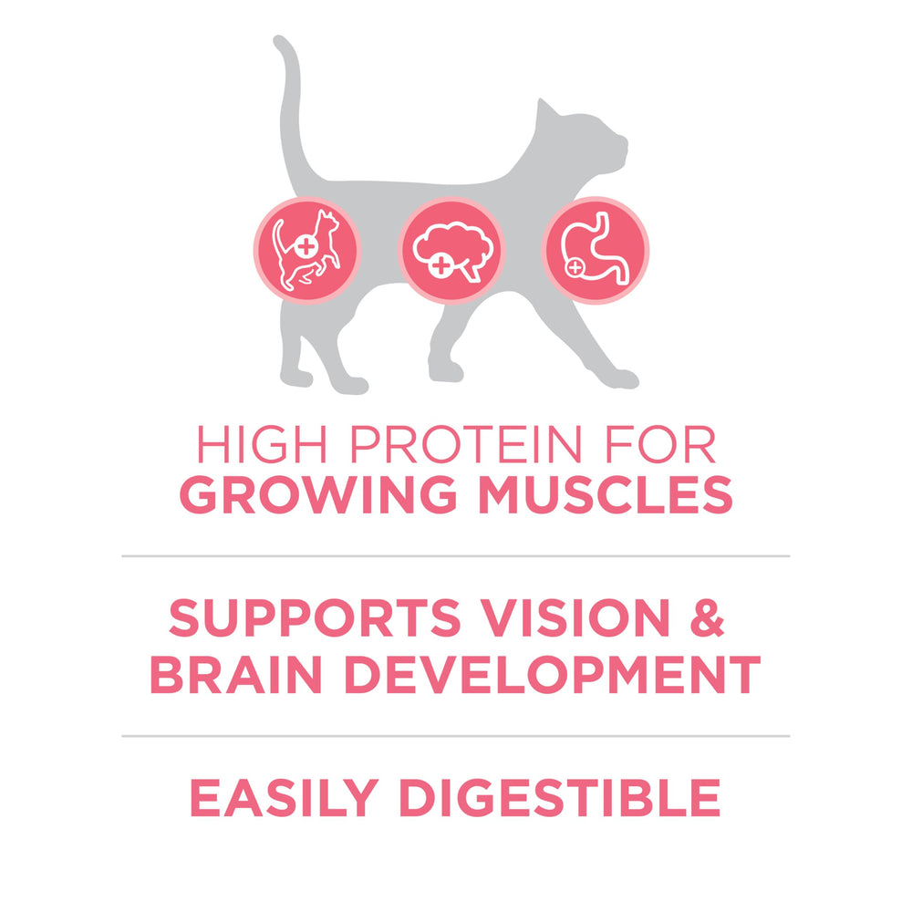 Purina ONE DHA brain development focus supports kitten learning and vision