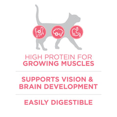 Purina ONE DHA brain development focus supports kitten learning and vision