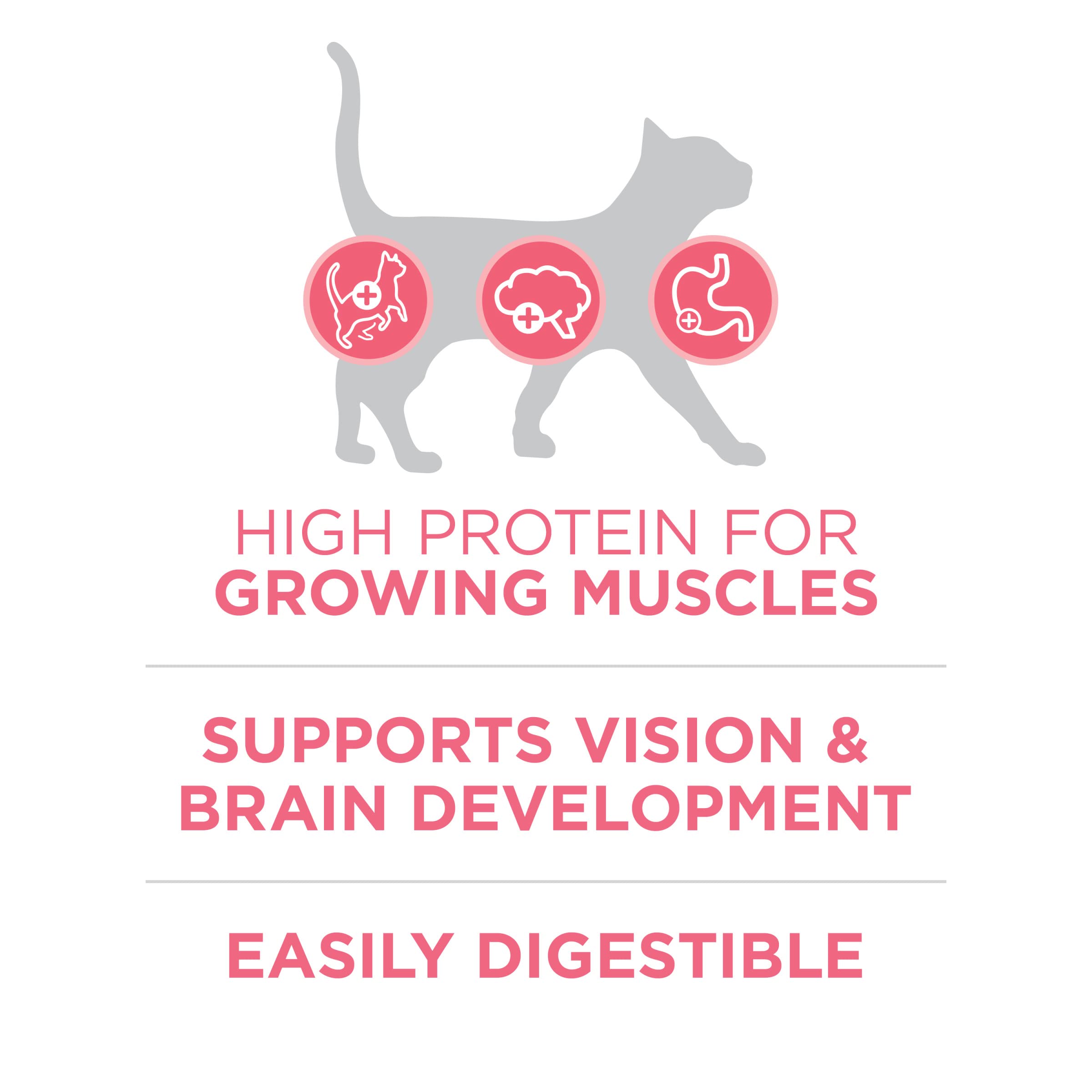 Purina ONE dha brain vision development close-up highlights cognitive growth