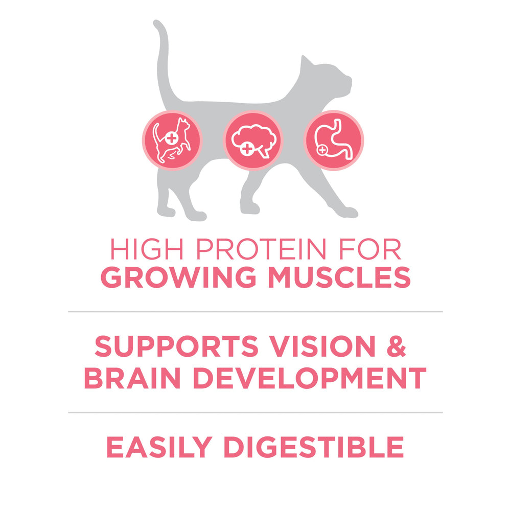 Purina ONE dha brain vision development close-up highlights cognitive growth