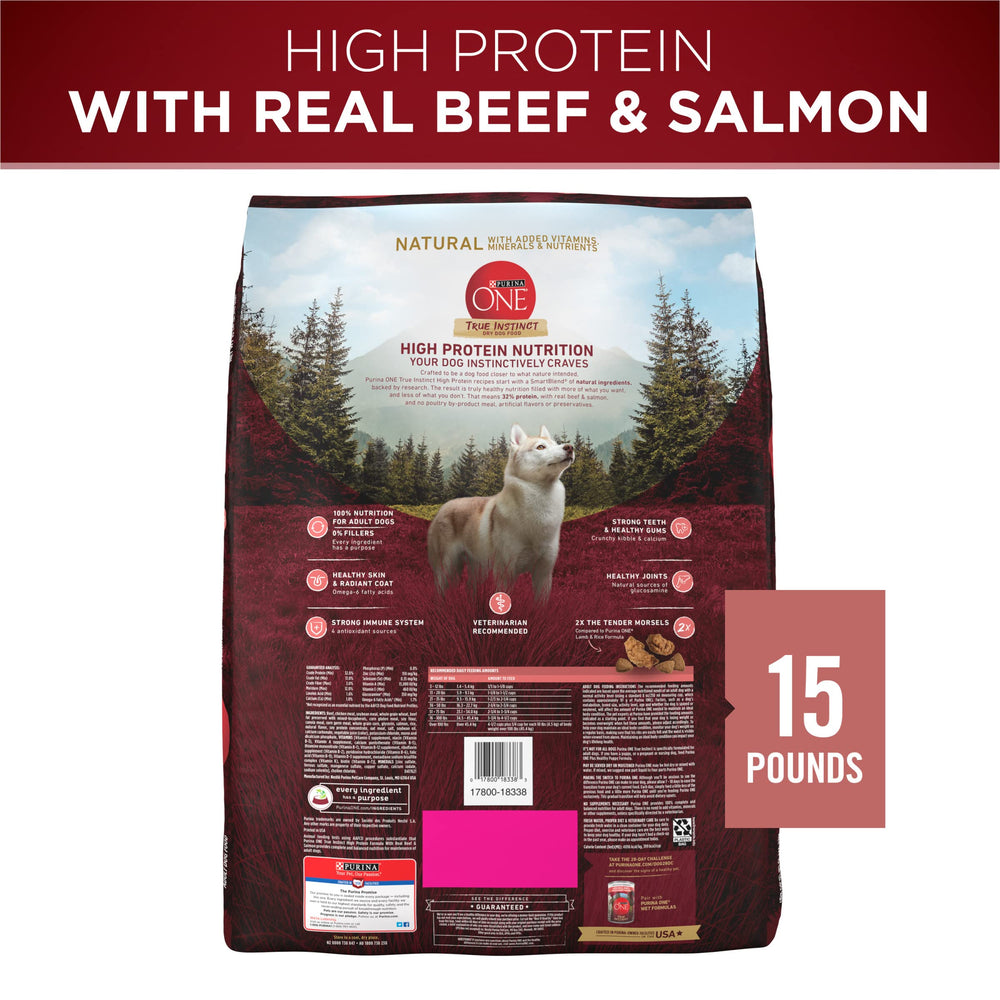 Purina ONE dog with shiny coat suggests omega-6 benefits