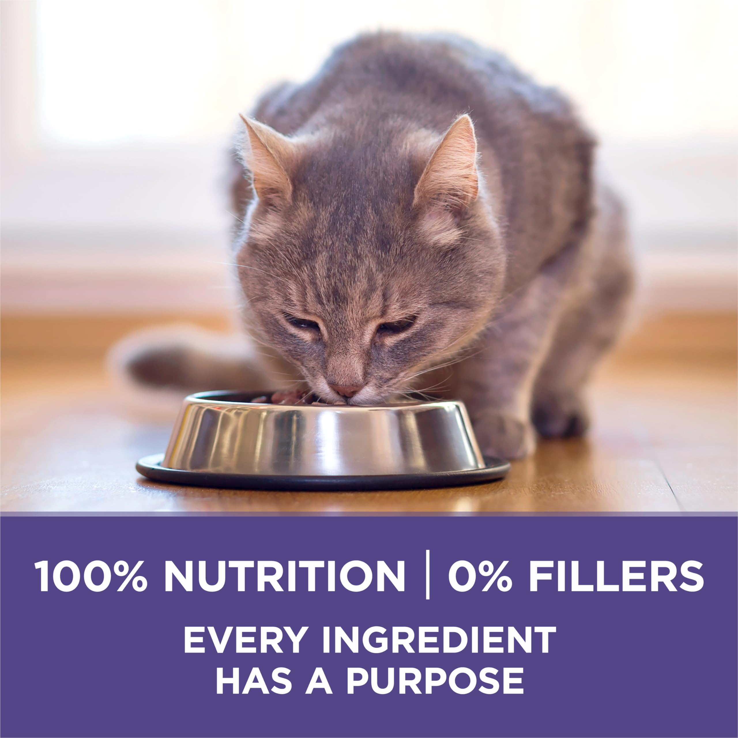 Purina ONE fiber-rich blend aids hairball management.