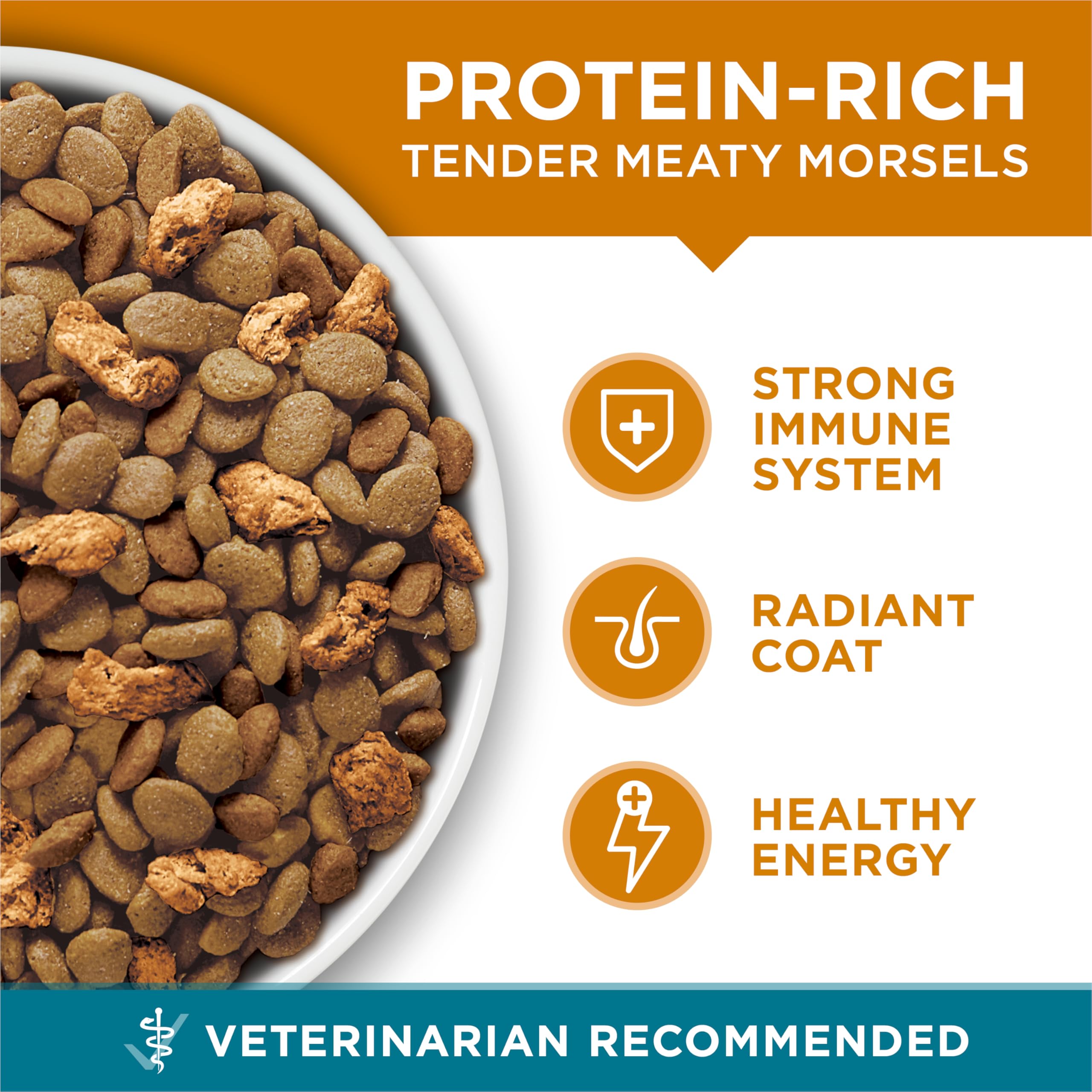Purina ONE four antioxidant sources for immune support