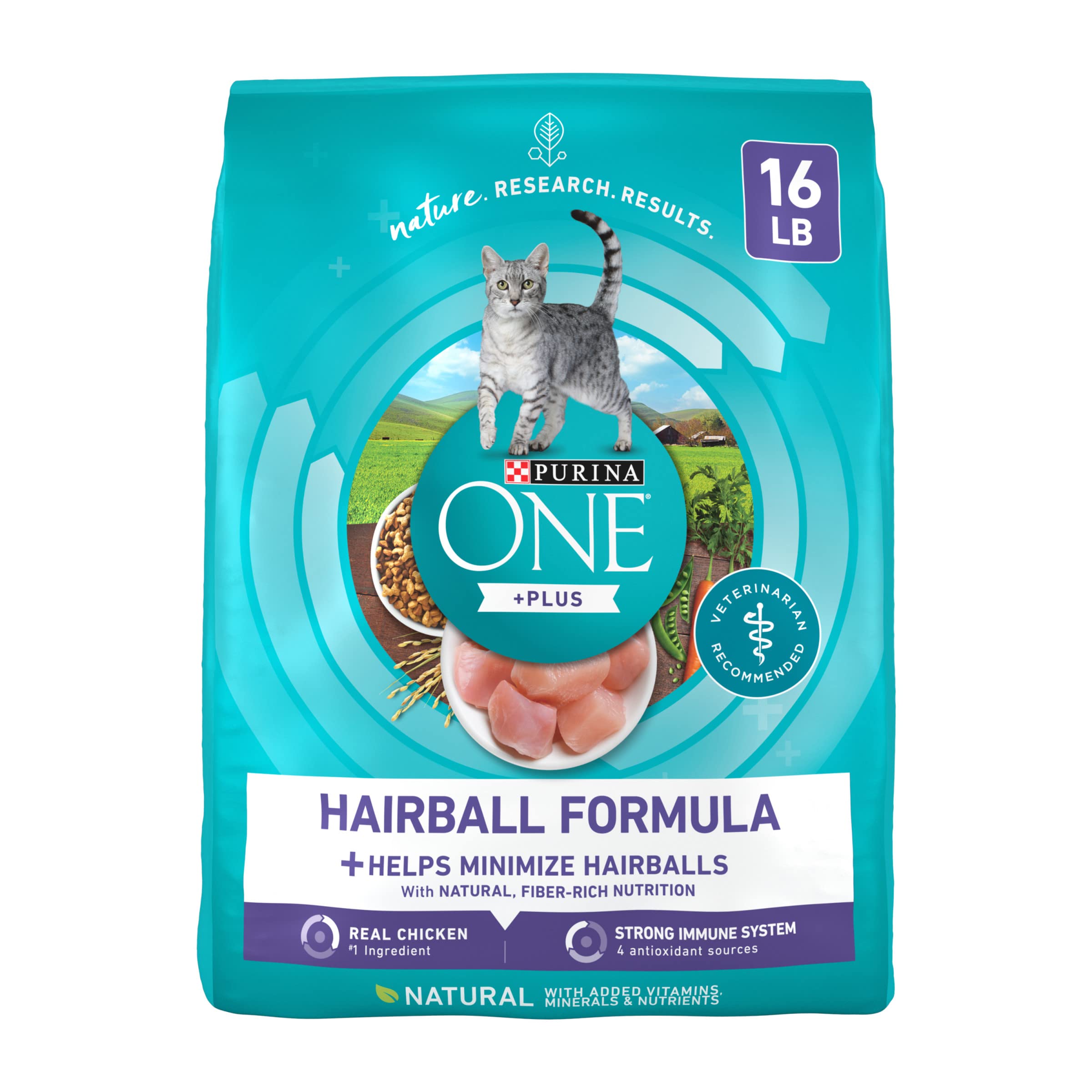 Purina ONE Hairball Formula bag front view highlighting 16 lb packaging for regular cat meals