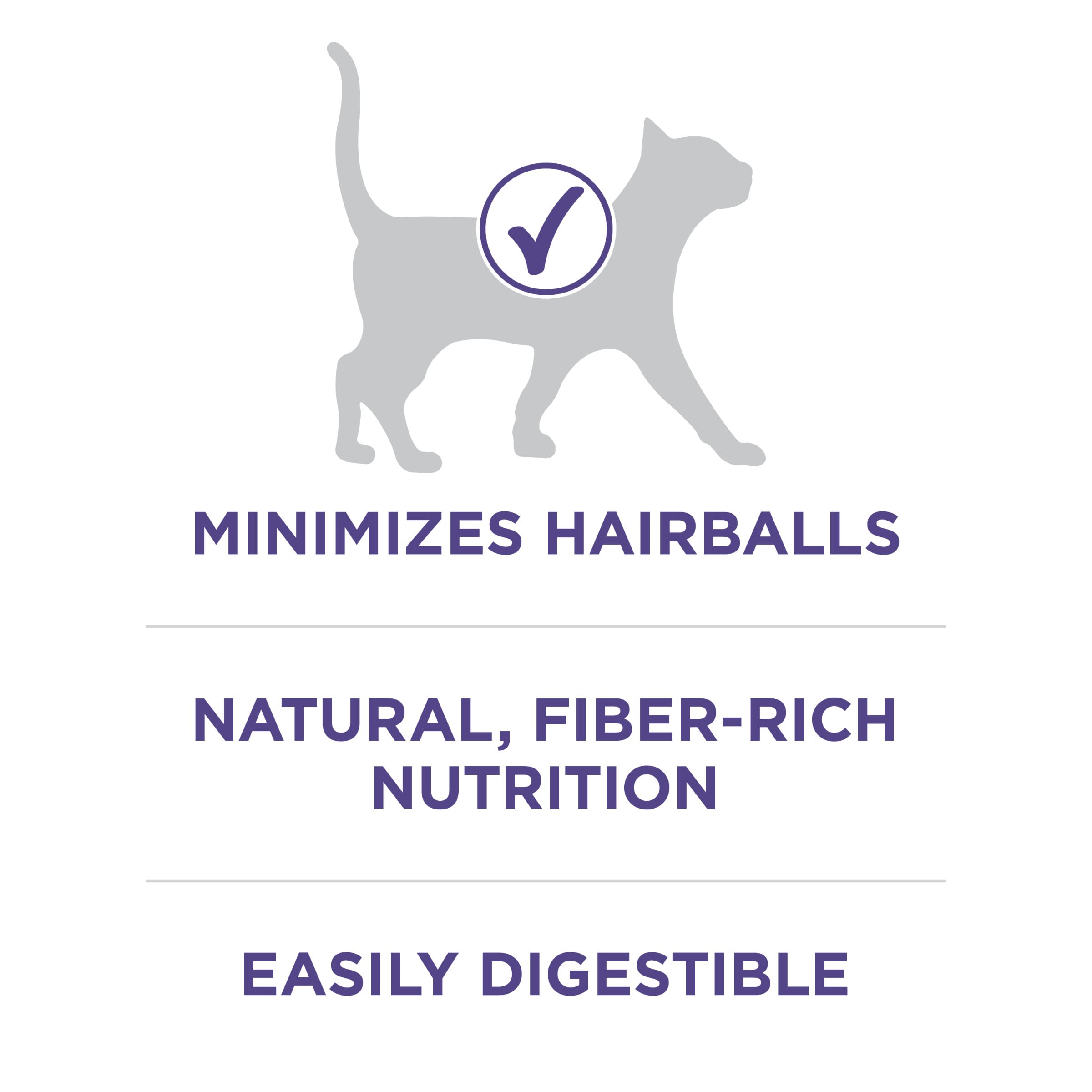 Purina ONE Hairball Formula kibble texture shows crunchy bites cats enjoy during meals