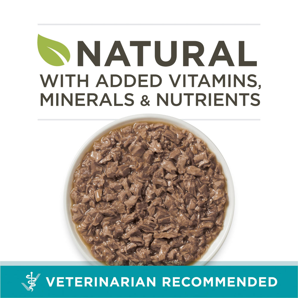 Purina ONE high-protein chicken wet food supports lean muscle during growth