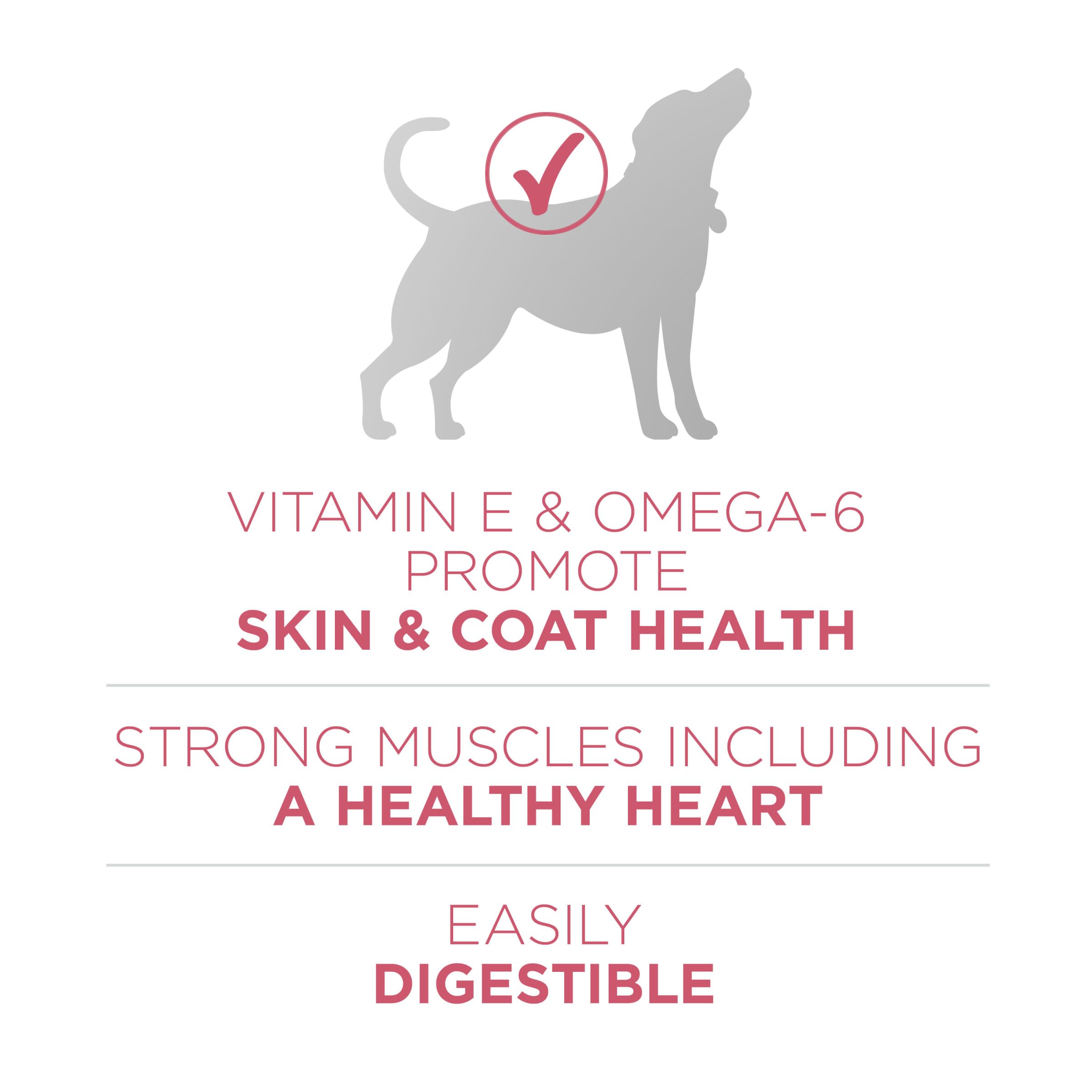 Close-up of high-protein kibble texture designed for adult dogs