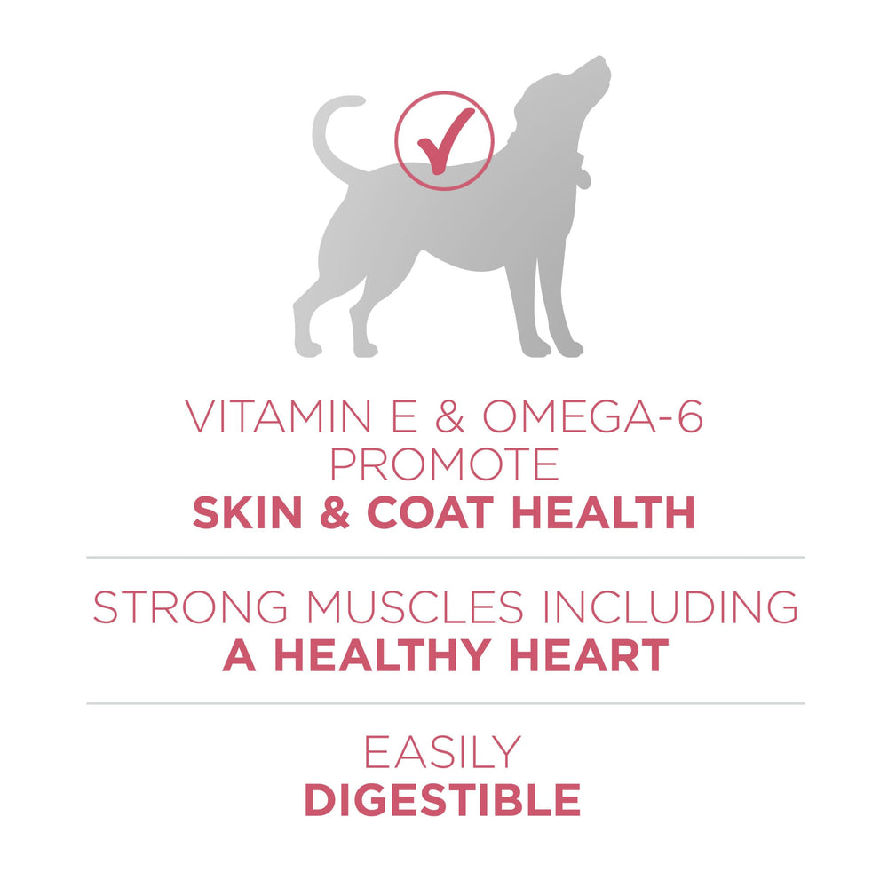Close-up of high-protein kibble texture designed for adult dogs