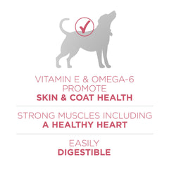 Close-up of high-protein kibble texture designed for adult dogs