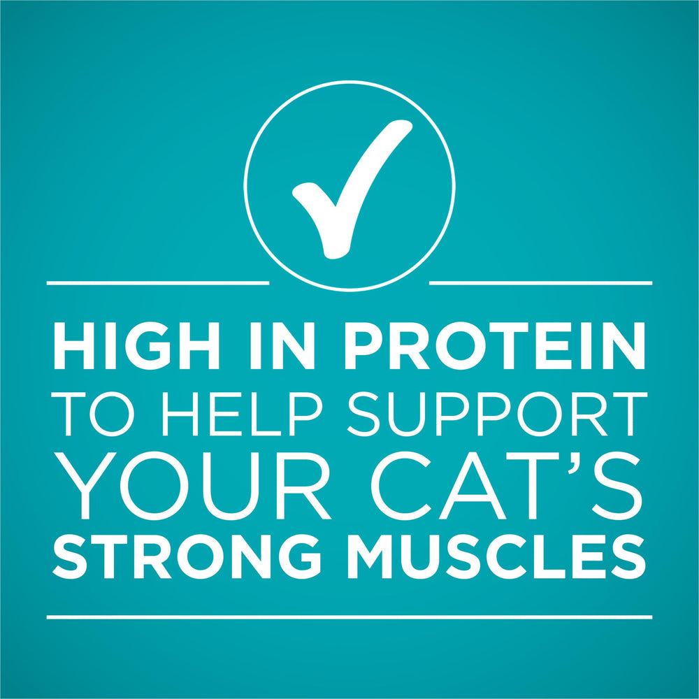 Purina ONE high-protein formula supports strong muscles.