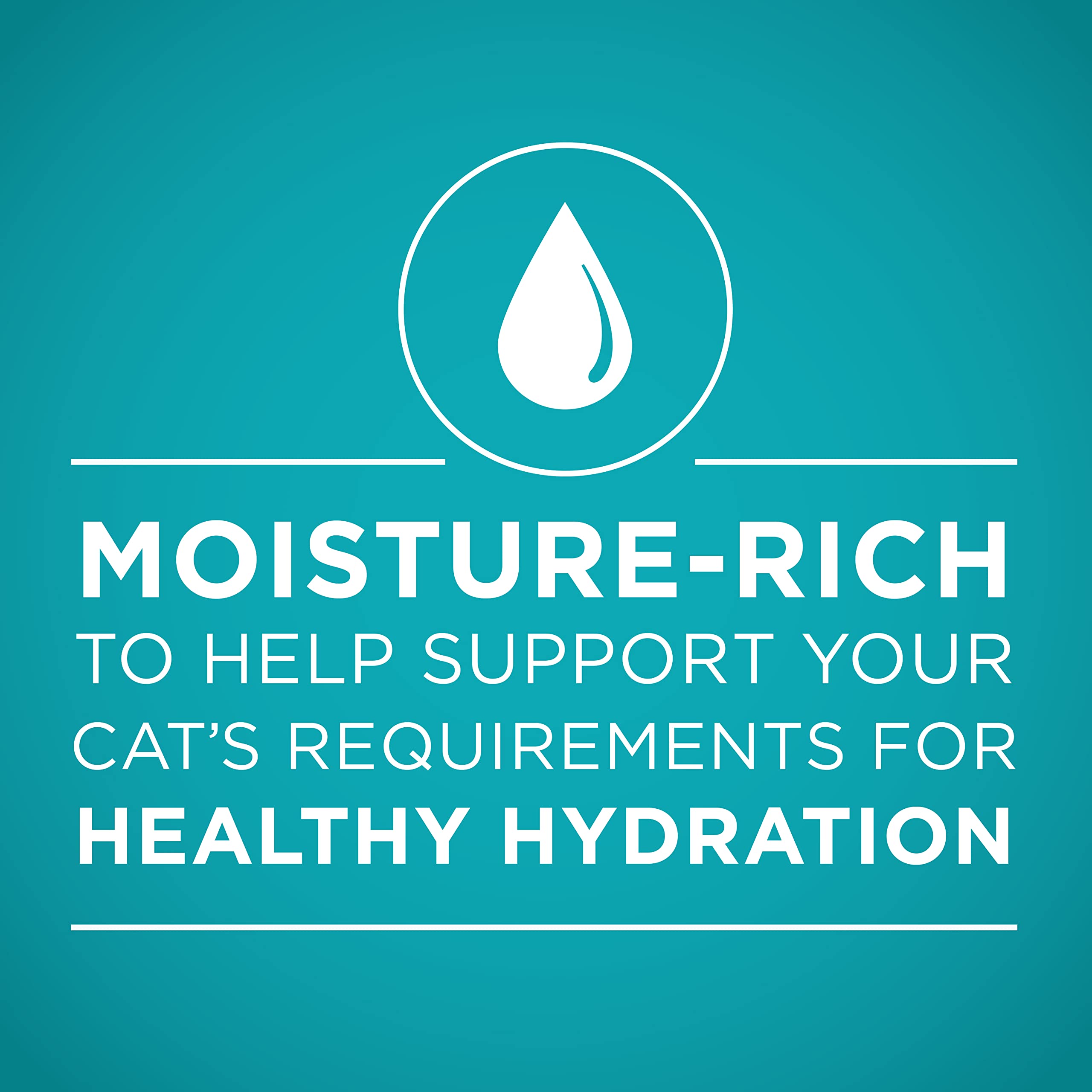 Purina ONE hydration and moisture-rich formula emphasis