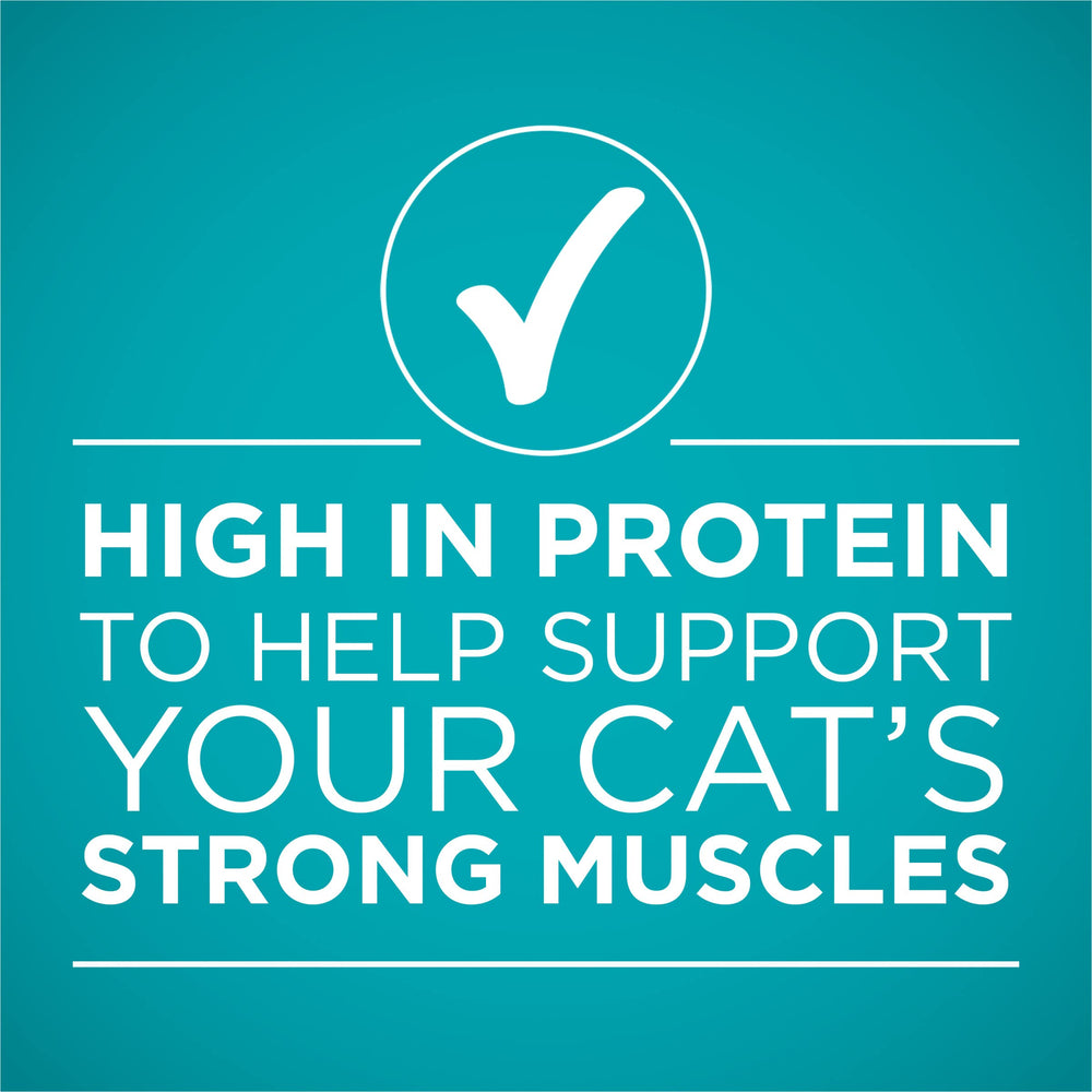 Purina ONE nutrition label depiction emphasizes added vitamins and minerals for balanced daily intake.