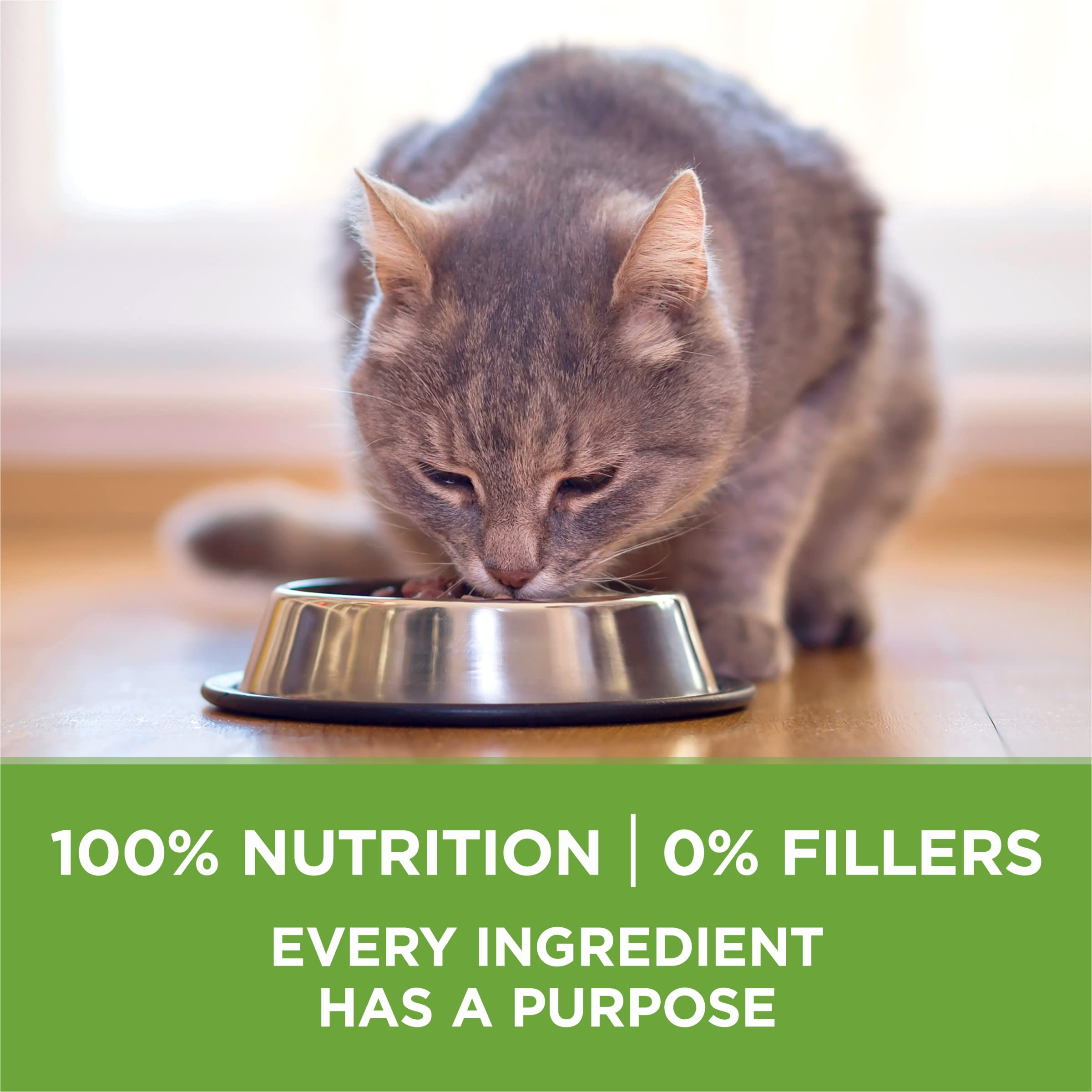 Purina ONE Indoor Advantage calcium for teeth and gums