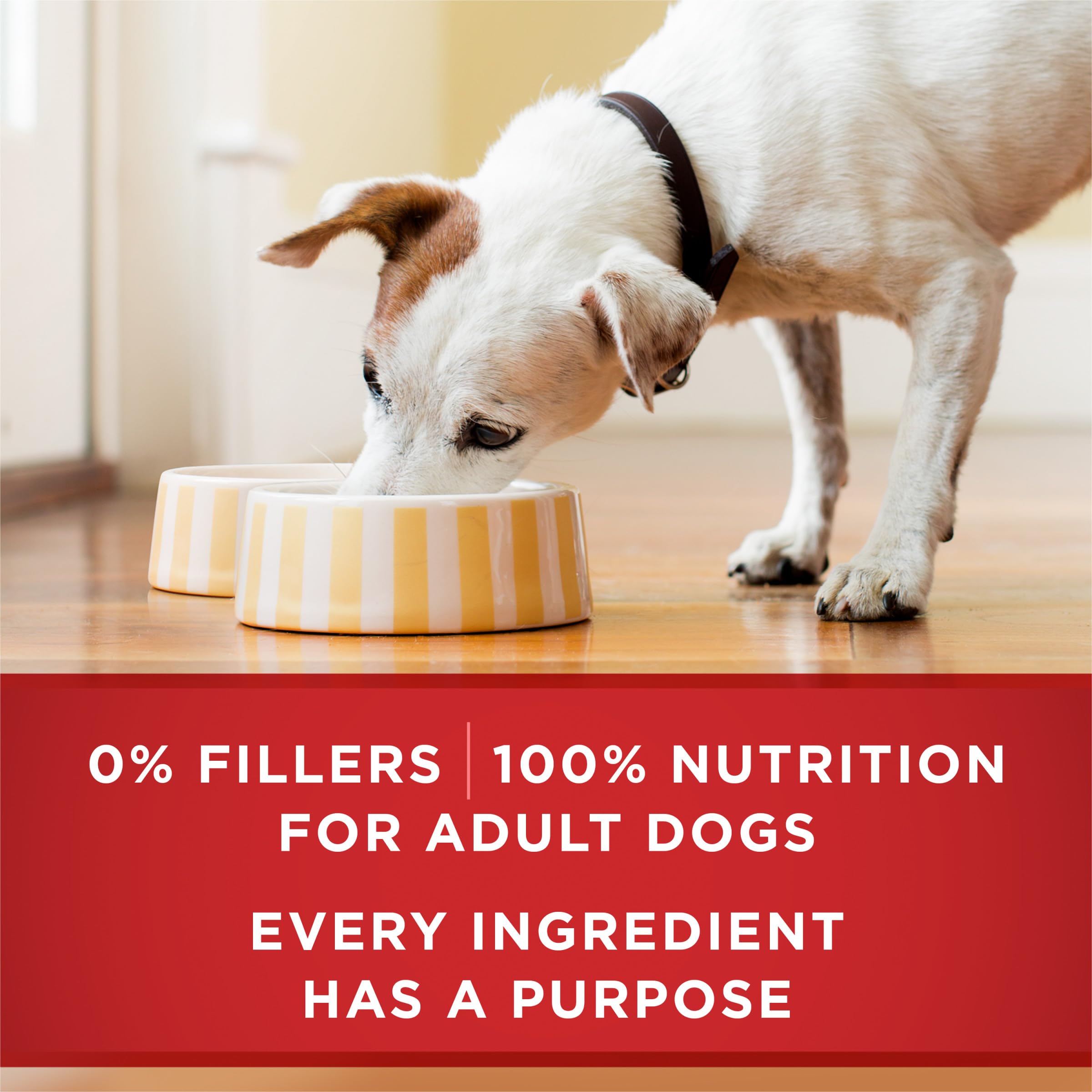 Purina ONE ingredients graphic highlighting added vitamins and minerals.