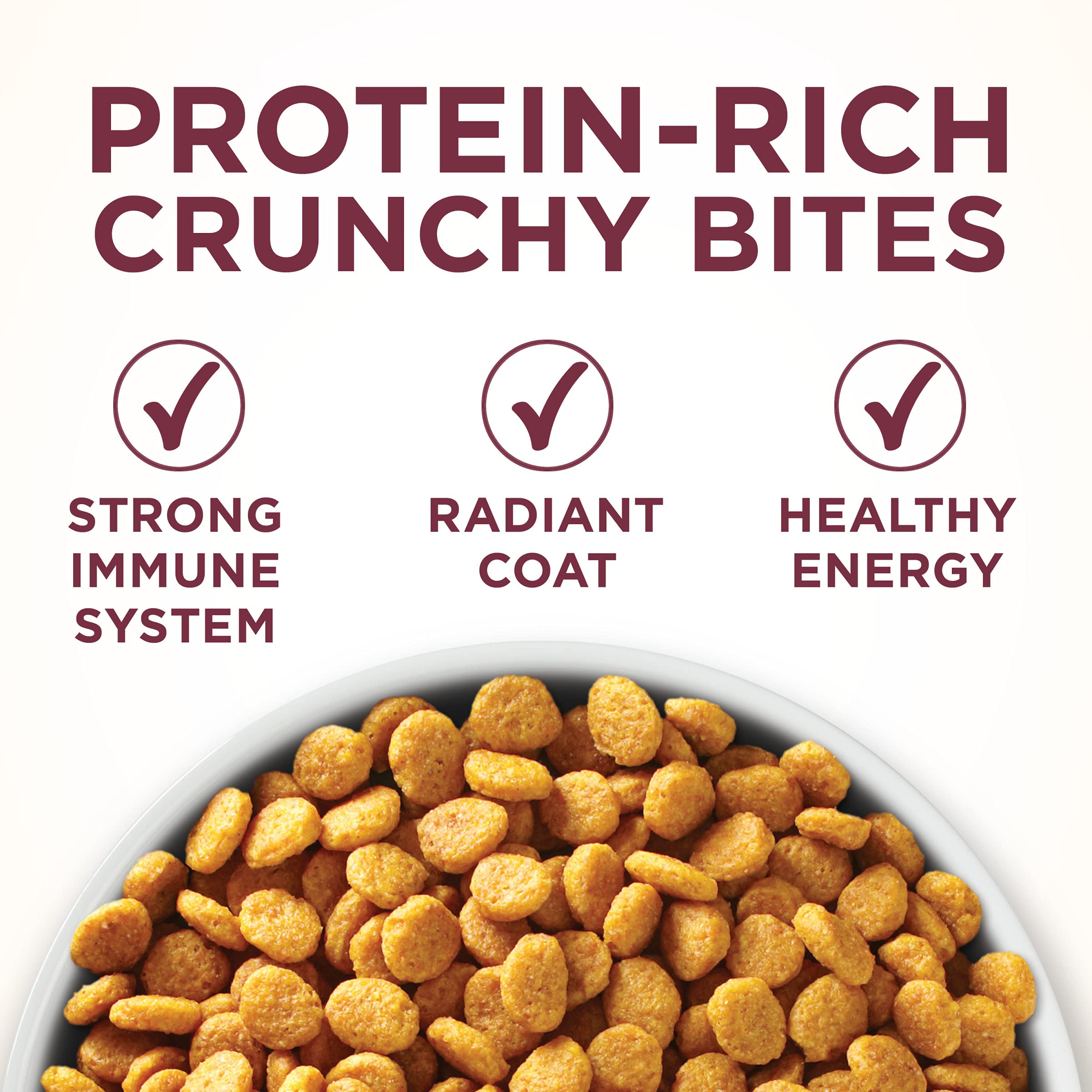 Purina ONE kibble showing calcium-rich bites for teeth and gum health.