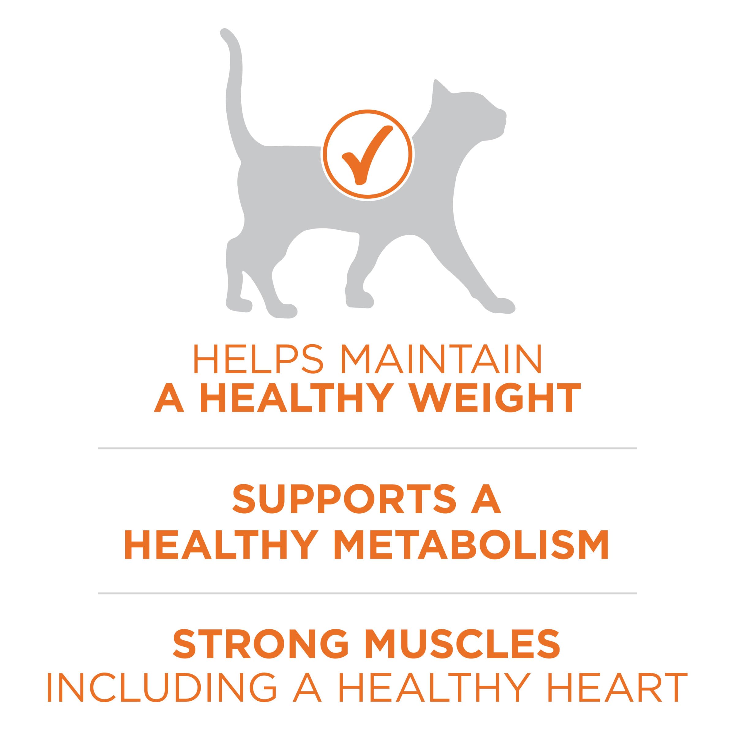 Purina ONE with L-carnitine supports fat metabolism in weight-conscious cats
