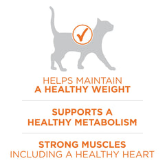Purina ONE with L-carnitine supports fat metabolism in weight-conscious cats