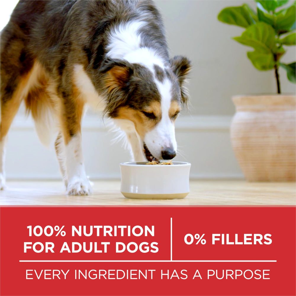 Purina ONE Lamb and Rice calories per serving chart on packaging