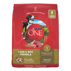 Purina ONE Lamb and Rice dry dog food bag highlighting real lamb and balanced nutrition