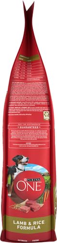 Purina ONE Lamb and Rice serving bowl shows crunchy texture for dental care