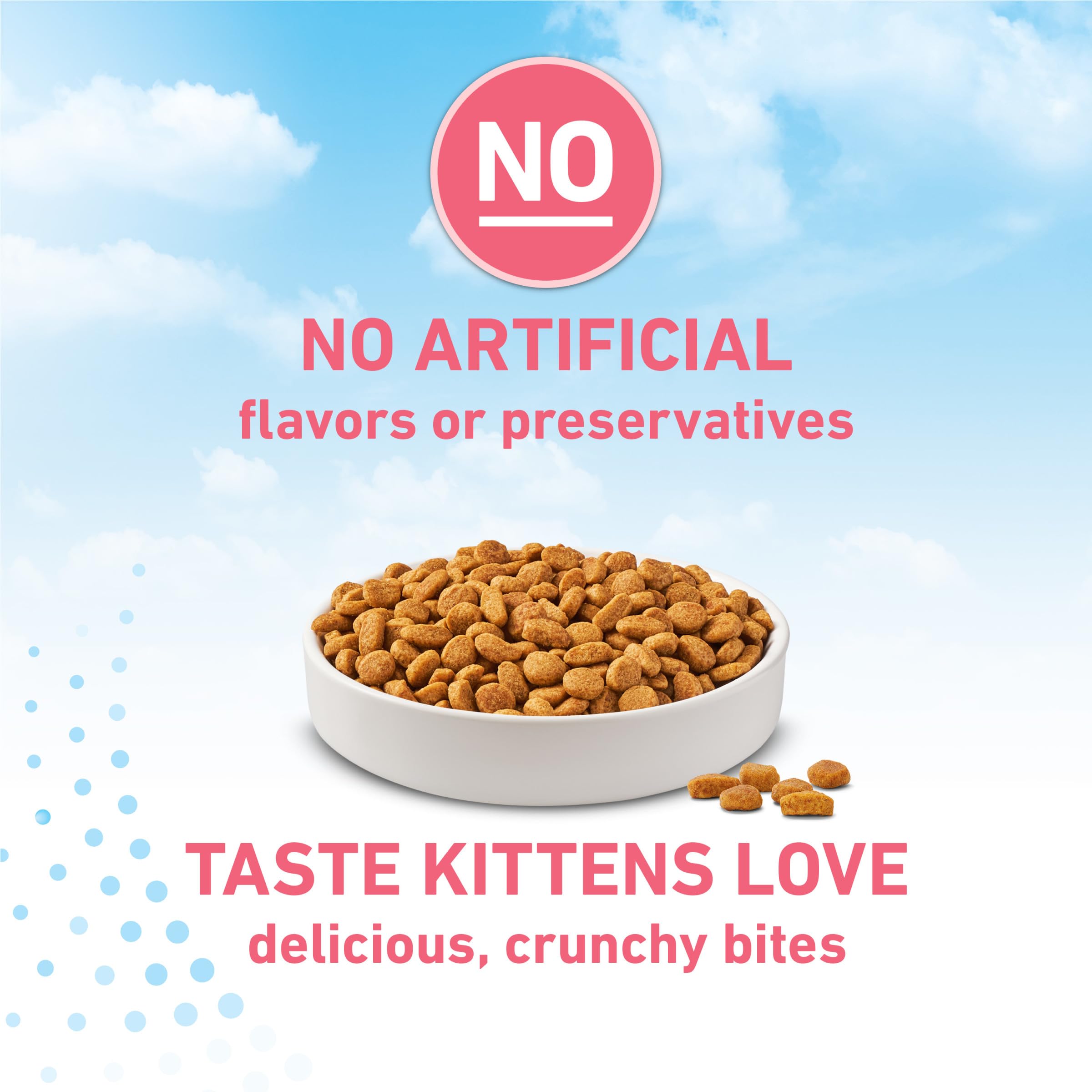 Purina ONE LiveClear kitten food plated for feeding time